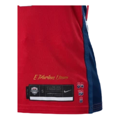 Nike Women's USA Sue Bird Limited Jersey -SoleStory Butik 60477 68 008