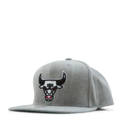 Mitchell & Ness Bulls Team Snapback