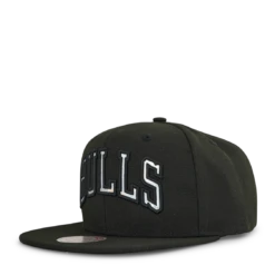 Mitchell & Ness Bulls Iridescent Wordmark Snapback