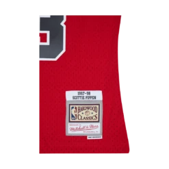 Mitchell & Ness Bulls Swingman Jersey - Scottie Pippen -SoleStory Butik 60564 94 003