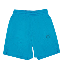 Nike Swoosh Fly Shorts Wmns