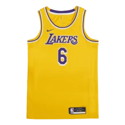 Nike Lakers Icon Edition Swingman Jersey James