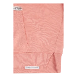 Nike Women's Df Std Issue Po Hoodie Lt Madder -SoleStory Butik 60636 44 005