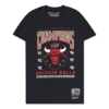 Mitchell & Ness Bulls Last Dance Bulls 6x Champ
