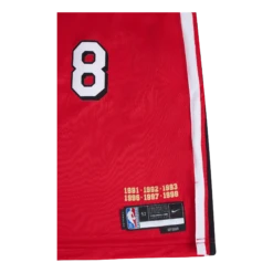 Nike Bulls Swingman Jersey Mmt 21 -SoleStory Butik 60722 57 004
