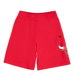 NEW ERA Bulls Washed Pack Team Logo Sh Red