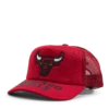 Mitchell & Ness Bulls Puff The Magic Trucker HWC 2 Mitchell & Ness Bulls Puff The Magic Trucker HWC -SoleStory Butik 60750 02 001