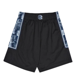 Mitchell & Ness Hoyas Swingman Alternate Shorts 95