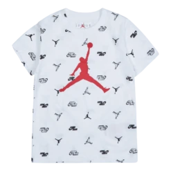 Jordan Jumpman Modern Aop