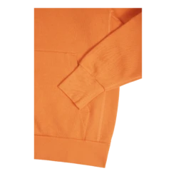 Nike WNBA PO FLC ESSNTL W13 Hoodies -SoleStory Butik 60889 09 004