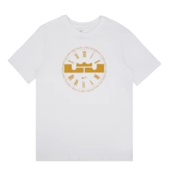 Nike LeBron M Nk Df Tee