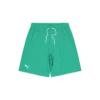 Puma Hoops Team Practice Short -SoleStory Butik 60972 15 001