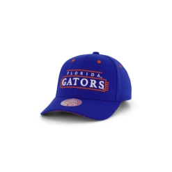 Mitchell & Ness Gators Team Lofi Pro Snapback