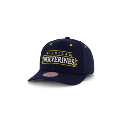 Mitchell & Ness Wolwerines Team Lofi Pro Snapback