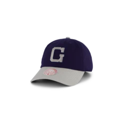 Mitchell & Ness Hoyas Team 2 Tone 2.0 Dad Strapback