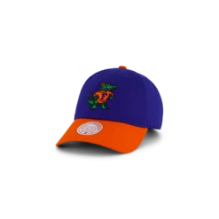 Mitchell & Ness Gators Team 2 Tone 2.0 Dad Strapback