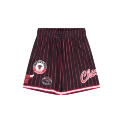 Mitchell & Ness Bulls M&N City Collection Mesh Shorts