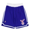Mitchell & Ness Bulls Authentic Shorts 2005 -SoleStory Butik 60982 23 001