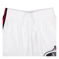 Mitchell & Ness Heat Cracked Cement Swingman Shorts 1996 -SoleStory Butik 60982 69 003