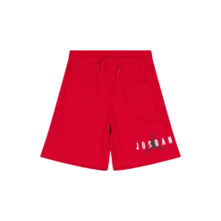 Jordan ESSENTIALS GRAPHIC MESH SHORT