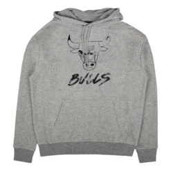 NEW ERA Nba Metallic Po Hoodie Chibul Hgrblk