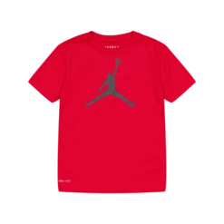 Jordan Jumpman Logo Df Tee