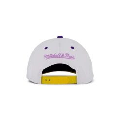 Mitchell & Ness Lakers Retrodome Pro Snapback -SoleStory Butik 61057 37 003