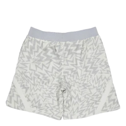 Under Armour Curry Mesh Short 2 -SoleStory Butik 61125 49 002